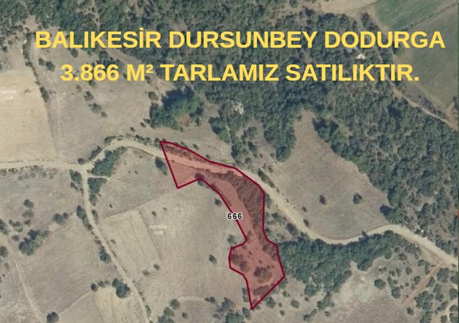 BALIKESİR DURSUNBEY DODURGA 3.866 M² TARLAMIZ SATILIKTIR. - BALIKESİR DURSUNBEY fotoğraf 2